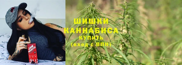трава Армянск