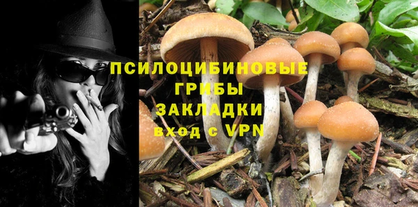 прущая мука Иннополис