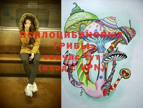 скорость Арсеньев