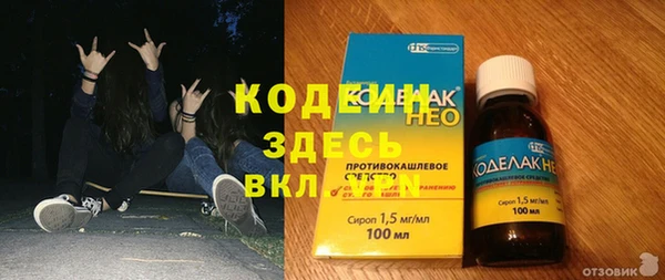 apvp Инсар